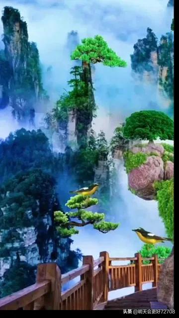 海盗的寻宝之旅
